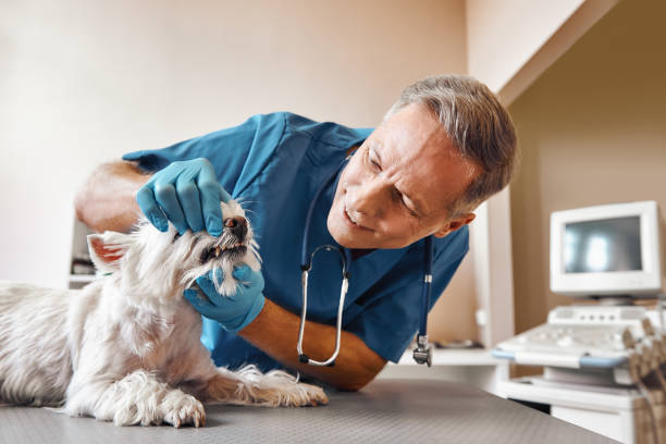 Best Emergency Tooth Extraction  in Dowagiac, MI